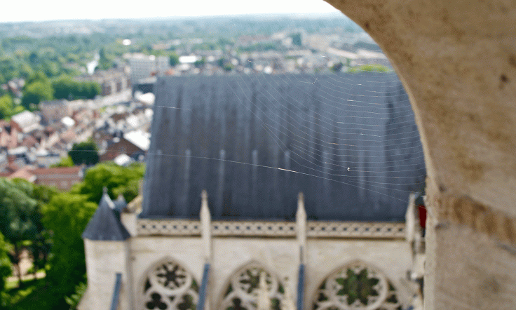 Ce que "travailler sur le gothique" veut dire.