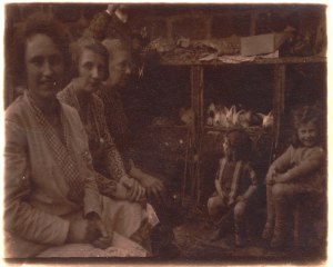 Bunnies at a French farm